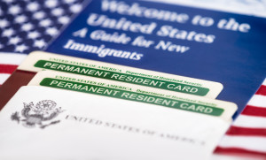 immigration law assistance